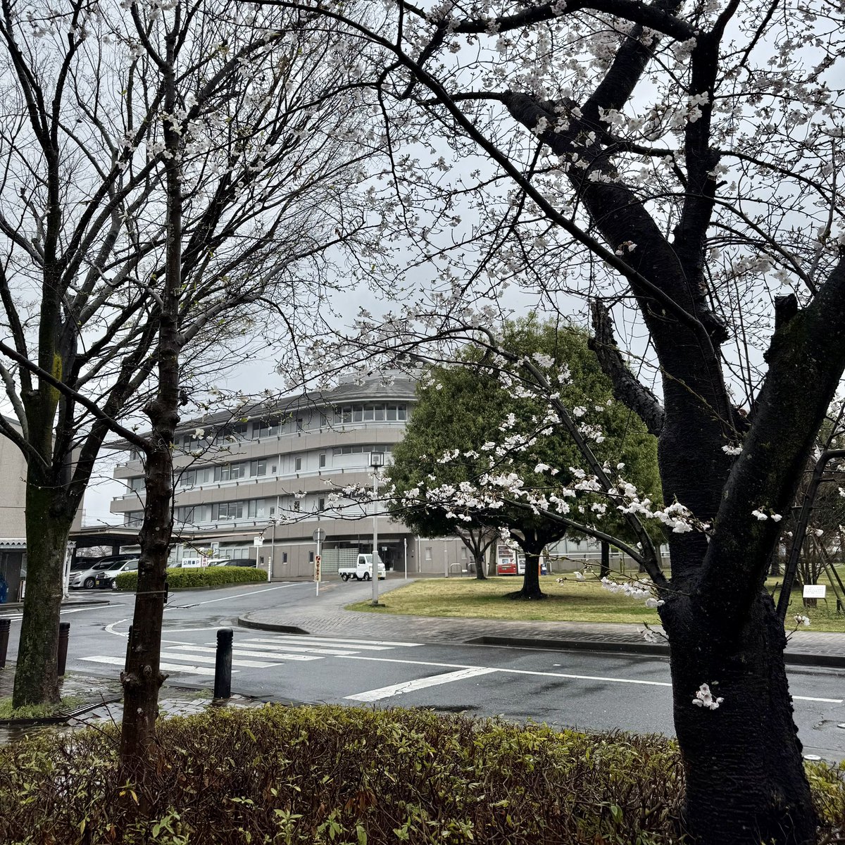 fujiieiichiro's tweet photo. 冷たい雨の降る寒い年度始めとなりました。
季節外れの天候に体調を崩されないよう、皆様くれぐれもお気をつけください。
令和7年度も「もっと前へ！動かせ白岡‼︎」をモットーに全力投球してまいります。
#白岡市 #白岡市長 https://t.co/uexXohPEhk