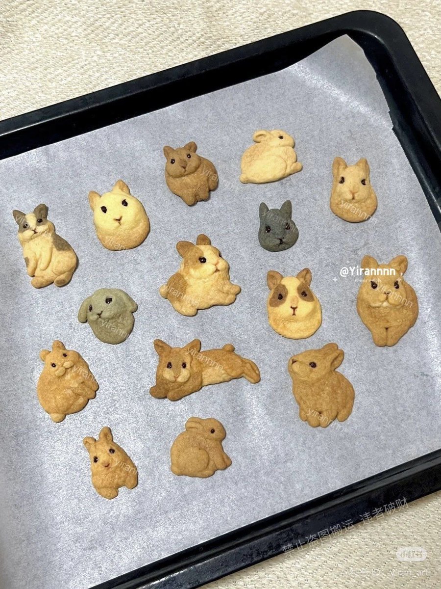300moods's tweet image. bunny cookies