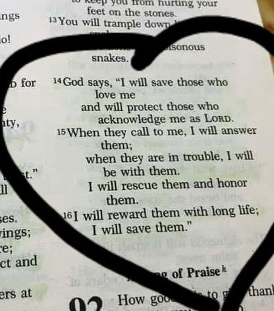 Bible365_'s tweet photo. Psalms 91 https://t.co/hZZVdzv1u0