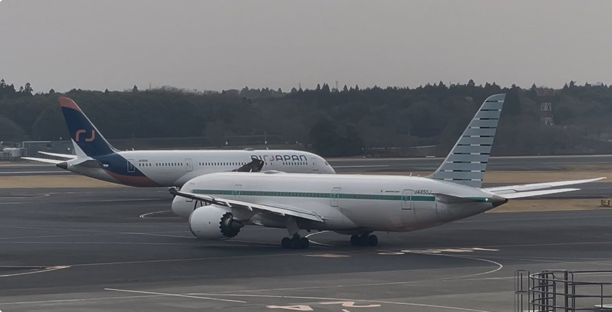 なしこ✈︎ tweet media