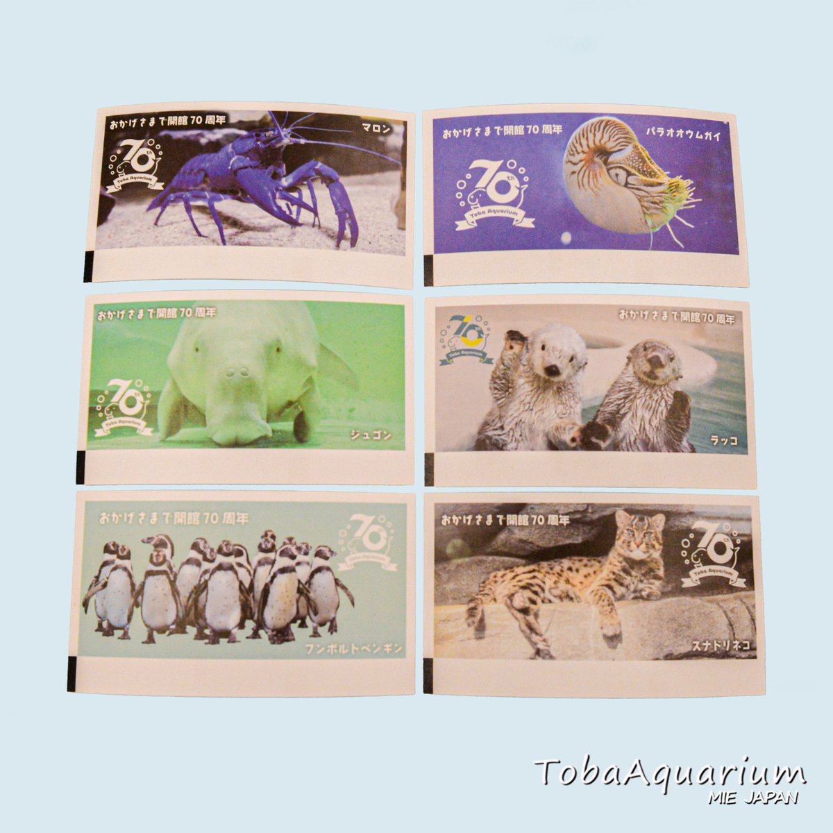 チケットが70周年バージョンにリニューアルしました❗️🎫 こちらは