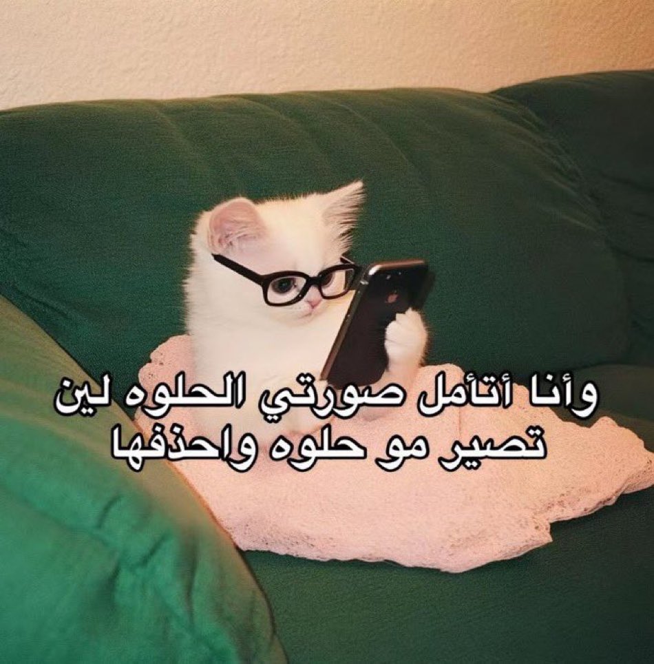 تصوير العيد :