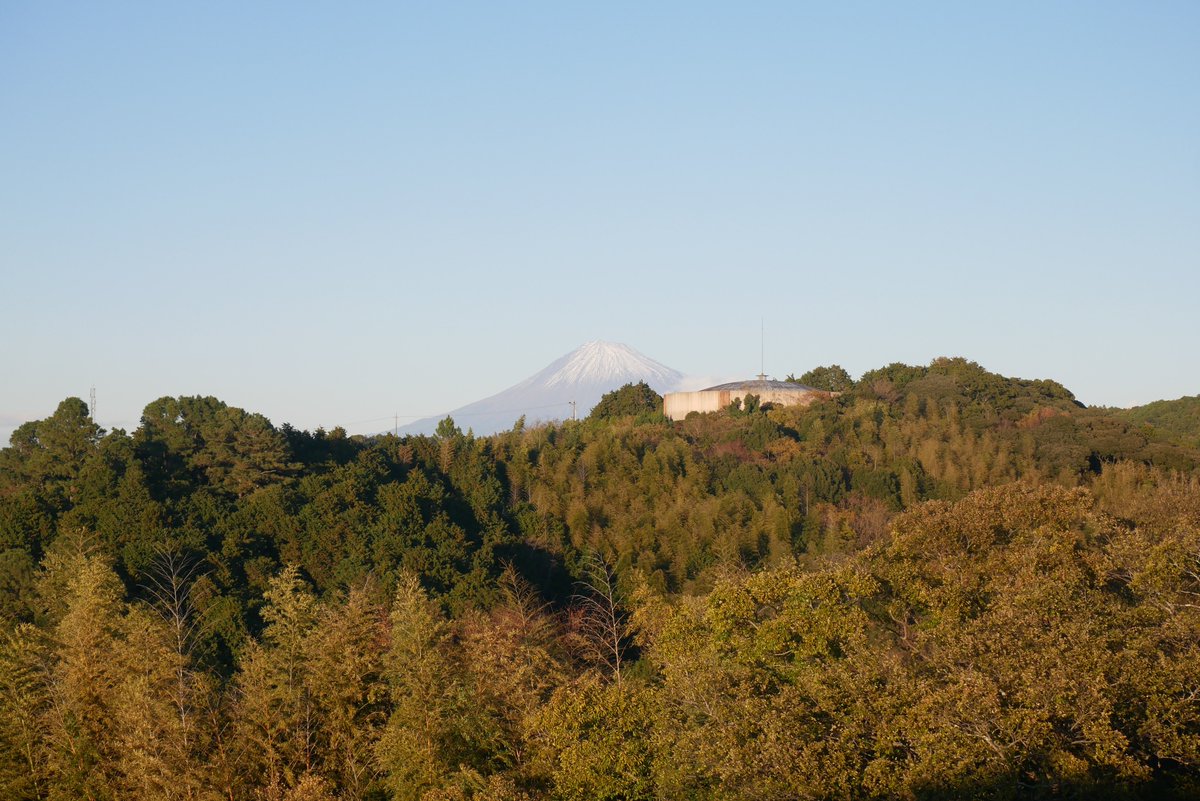 Sakabe, M. tweet media