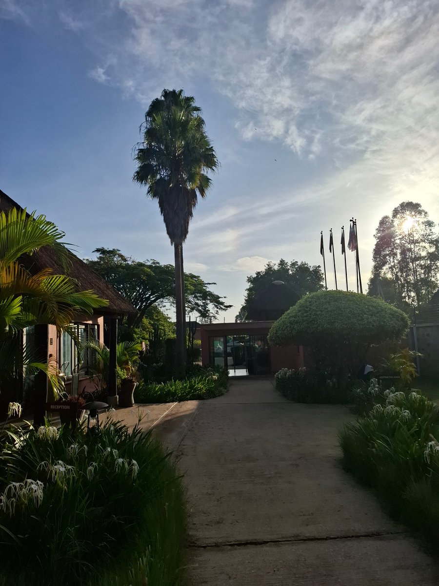 HuntersCottages's tweet photo. Etwika stands and proud, just like the giraffe it represents. With grace and poise, our reception is always ready to welcome you and ensure your journey into paradise is smooth and unforgettable. 🦒✨ #EtwikaStandingTall #HuntersParadise #HospitalityWithGrace https://t.co/qu1blDHwEB