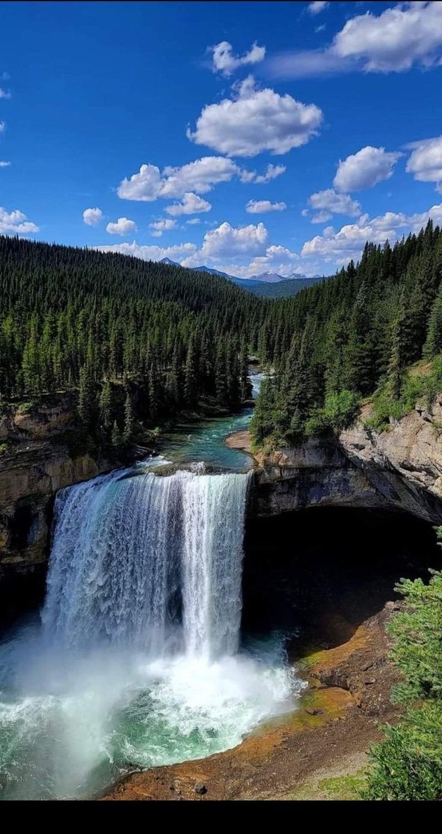 manikasen0726's tweet image. Spring awakens the forest with a symphony of green! 🍃✨ Sunlight dances through the leaves, 🌳 Breathe in the beauty of nature! 🌍#SpringInTheForest #NatureAwakens #GreenParadise #ForestMagic #BloomAndGrow #EcoVibes @IndiAves @snshindol