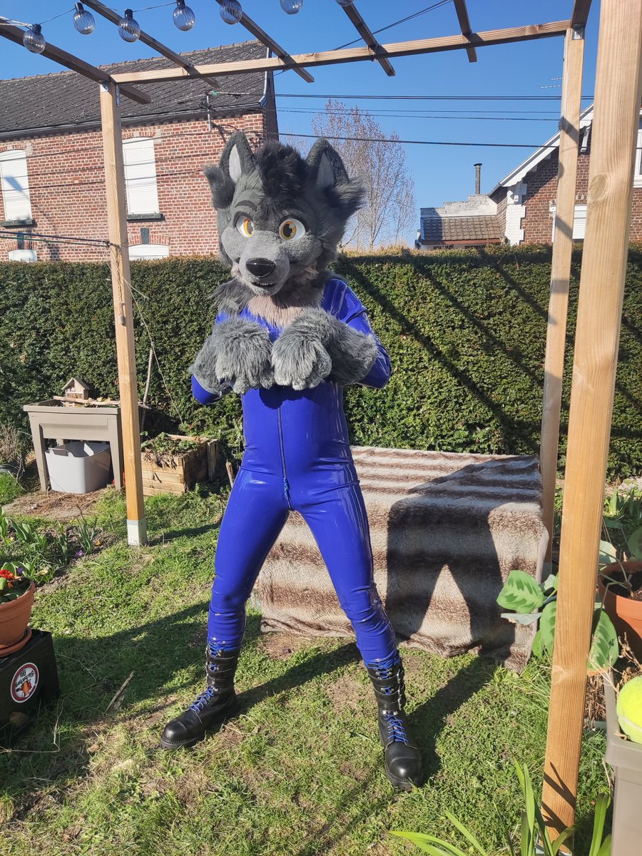 RubberWolfy (@wolfyrubber) on Twitter photo Who's the good shiny wolf ? π
πΈ <a href="/TeaseFox/">Andrew RubberFox π Sinfur</a>
#Rubberfurs #LatexFur Who's the good shiny wolf ? π
πΈ <a href="/TeaseFox/">Andrew RubberFox π Sinfur</a>
#Rubberfurs #LatexFur