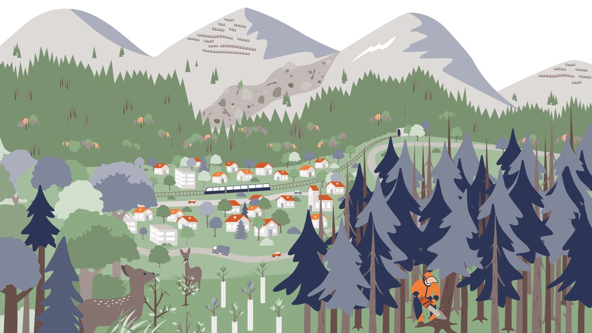 Der #Schutzwald ist lebenswichtig, da er Menschen und Infrastruktur vor #Naturgefahren schützt. Wildverbiss, Lichtmangel und Klimawandel verringern jedoch die Schutzwirkung der Wälder und gefährden langfristig deren Schutzfunktion. #Waldbericht2025 
👉bafu.admin.ch/waldbericht-20…