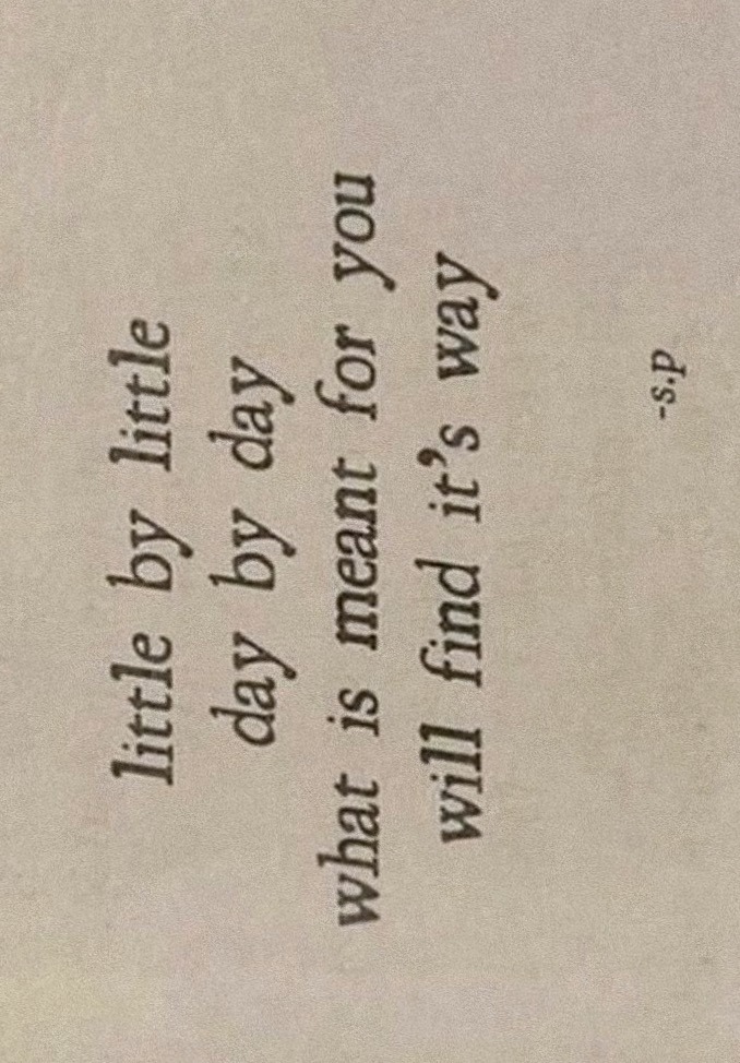 Synexdoche (@amor_fatti) on Twitter photo 