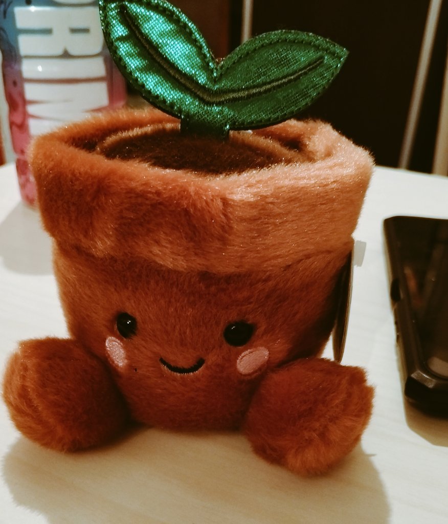 MarisolMeb3397's tweet photo. "Mi plantita hermosa, pechocha y divina, eres la flor que ilumina mi vida. Te amo, mi razón de ser. #MiPlantitaHermosa #Pechocha #Amor" @LyraMix92 https://t.co/v45ZfPnE2z