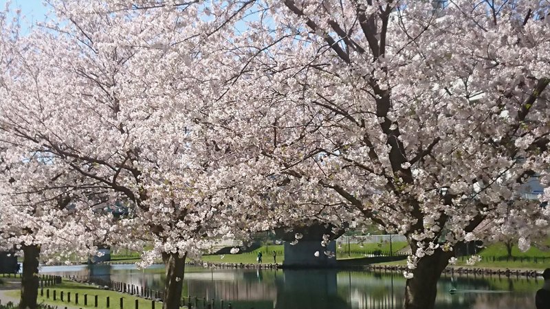 もう春だな～っ🌸