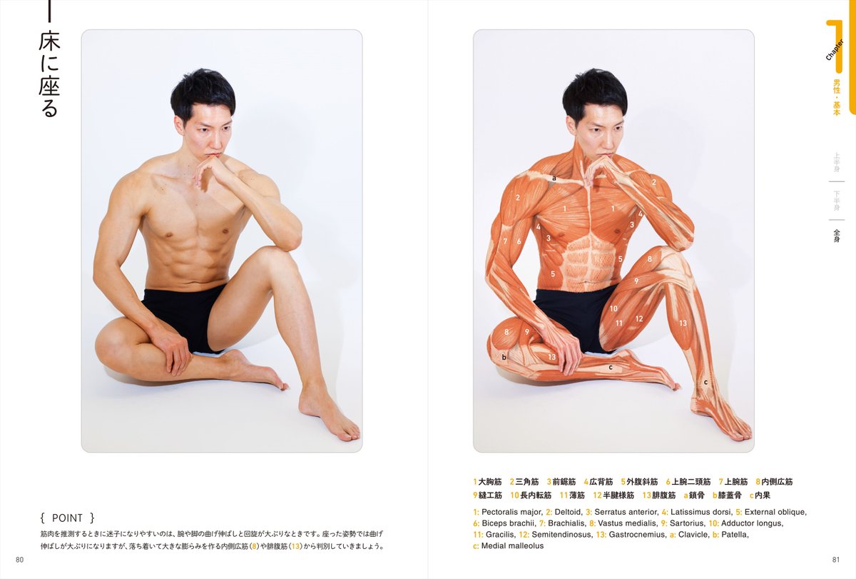 4月2日発売】 『アーティストのための体表解剖学 ポーズごとに筋肉の