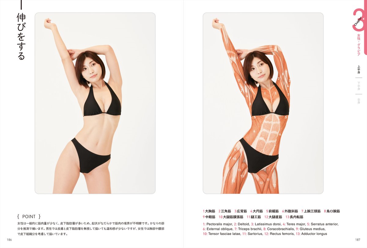 4月2日発売】 『アーティストのための体表解剖学 ポーズごとに筋肉の