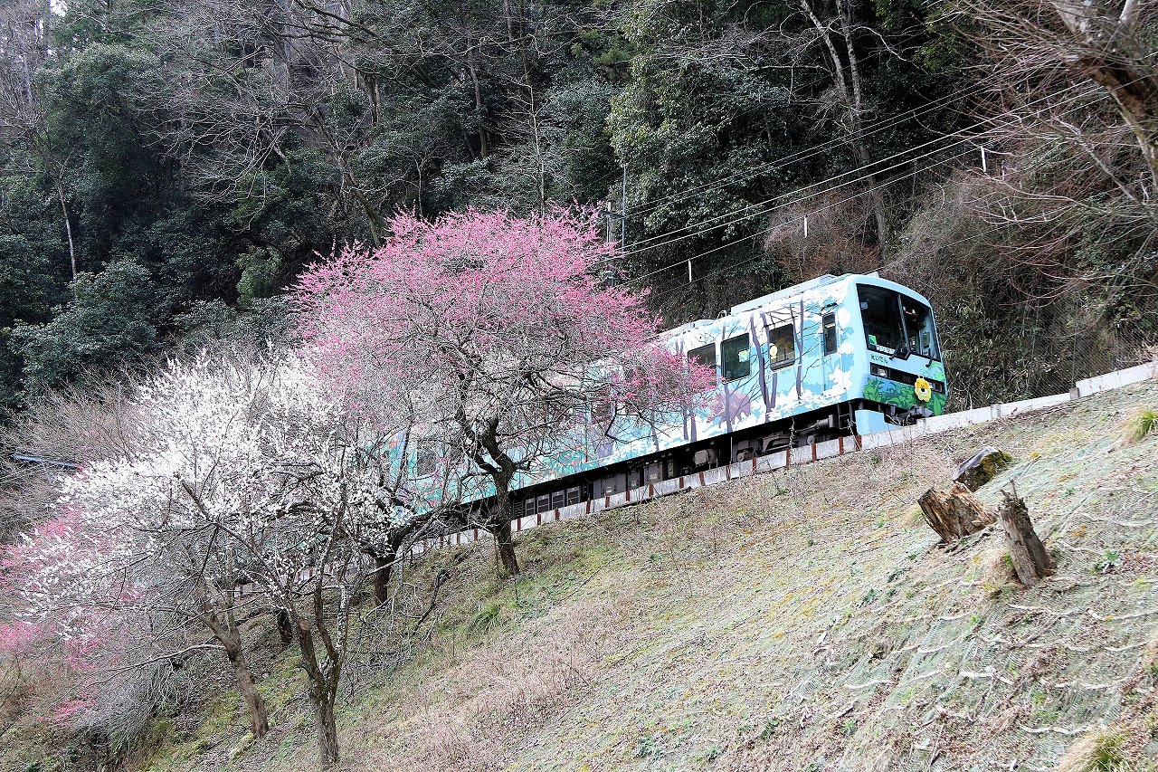 叡山電車【公式】 on X: 