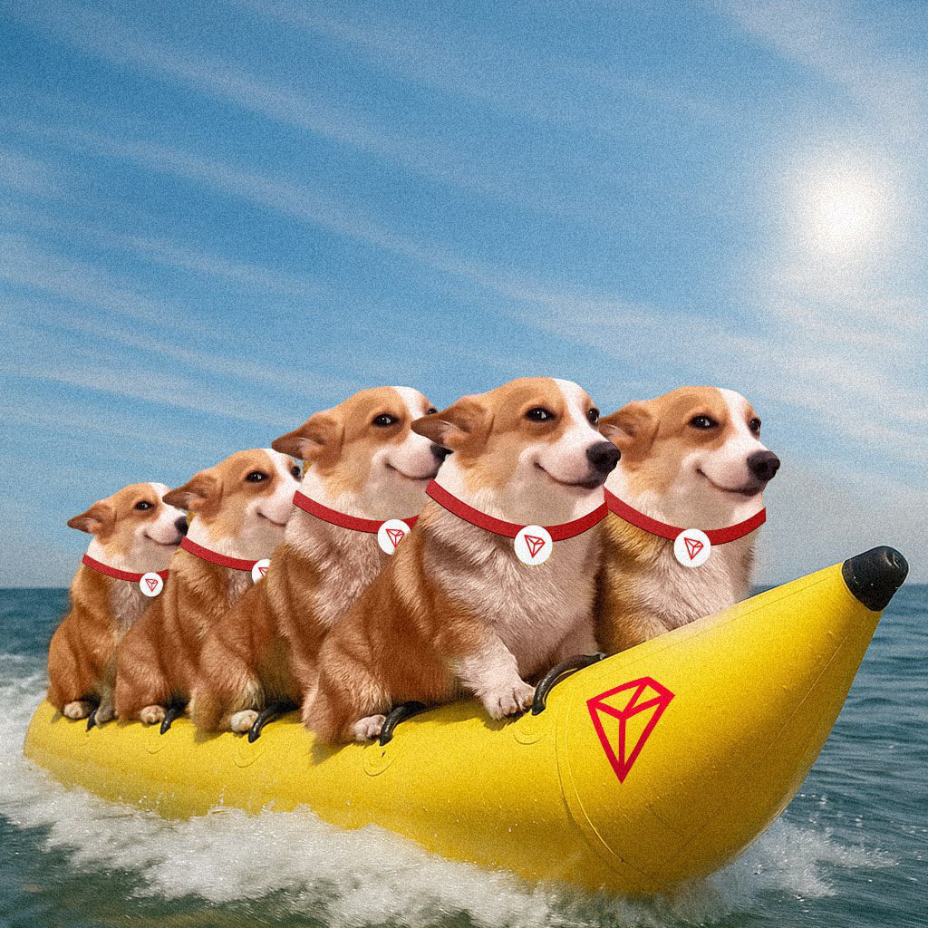 SUNDOG_TRX's tweet image. Banana Zone incoming! 🍌