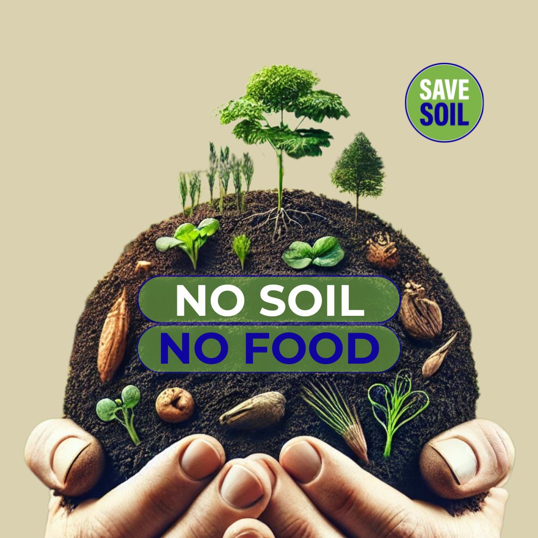 kamallala8's tweet photo. @cpsavesoil So true💚🤎🩵
#SaveSoilSavelife🌱🪱🦋🧔🏻‍♂️👩🏻‍🔧🐂🌱
#SaveSoilSavePlanet🌏

🤡🌱 On #AprilFoolDay, don’t be fooled—52% of agricultural soil is already degraded! The real joke is ignoring it until it’s too late. Let’s act now to #SaveSoil via #Soil Friendly Policies🧑‍🌾🪱🤎🪱👩🏻‍🌾 https://t.co/0WKchuHrkj