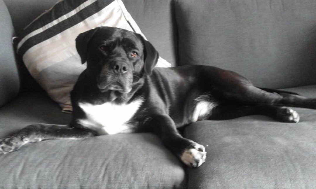 Wayne Burton tweet media