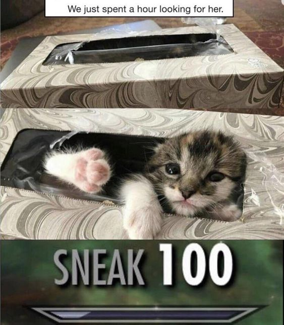 WholesomeMemes (@wholesomememe) on Twitter photo 