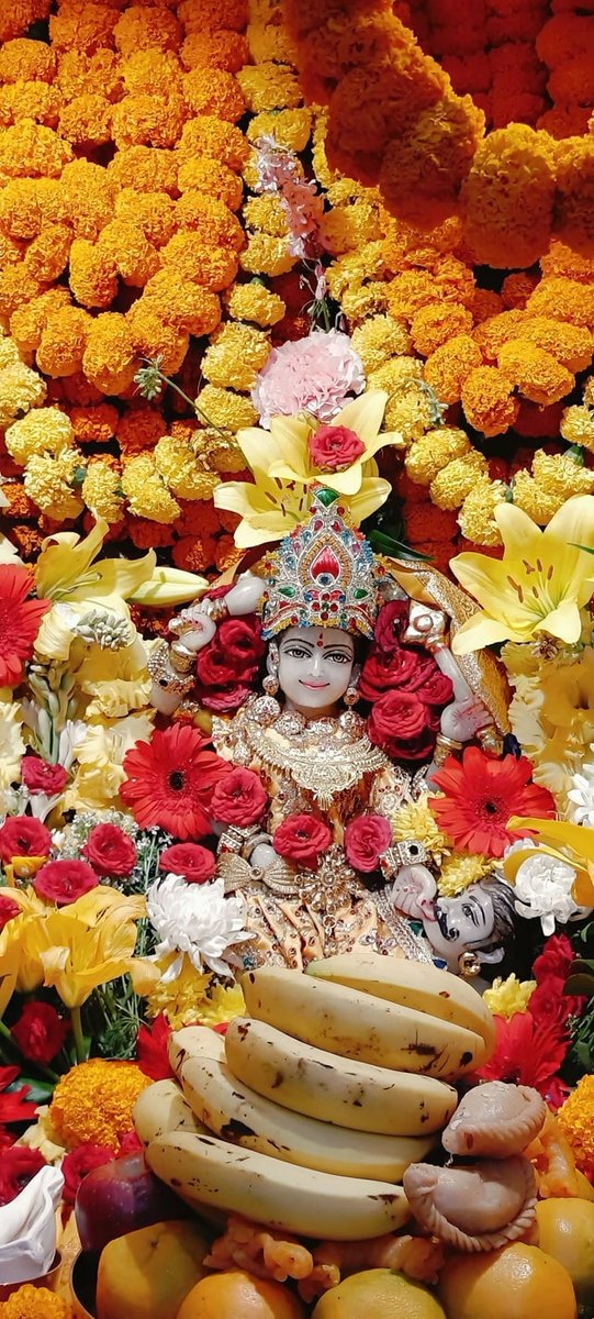 माँ बगलामुखी की शक्ति का प्रयोग देश और विश्व की मंगल कामना, धर्म की रक्षा और मानव कल्याण के लिए प्रयोग करना चाहिए।
