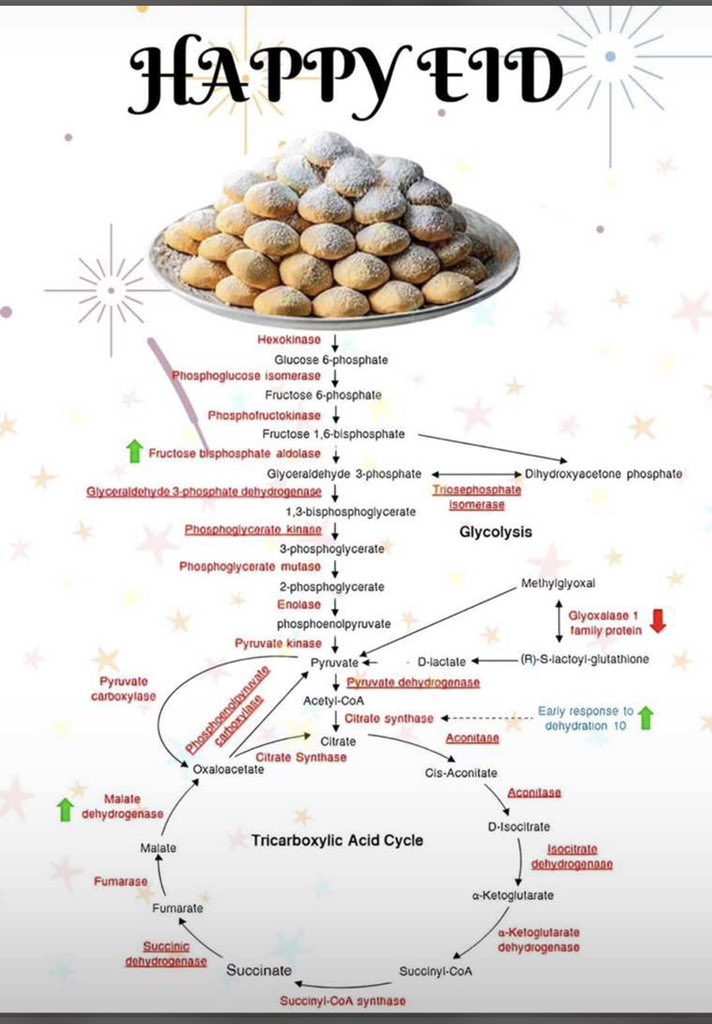 د.محمد مشبب القحطاني tweet media