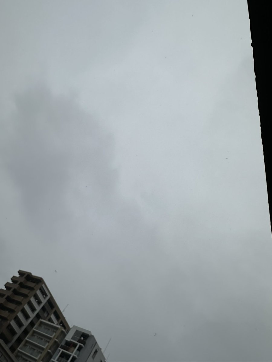 おはようございます。
今日はエイプリルフールですね😶
嘘をついてもいい日、なのかもだけど優しさはホンモノでいてほしいな、、、。

雨で視界も悪くなるので気をつけてお仕事頑張って下さいね。
空から降ってくるかもしれない素敵な巡り会いに期待しています(⑉• •⑉)❤︎