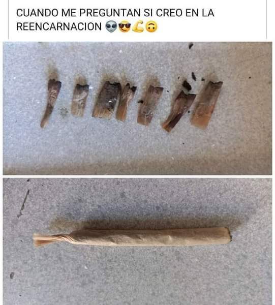 Cosechalibre (@cosechalibre) on Twitter photo 