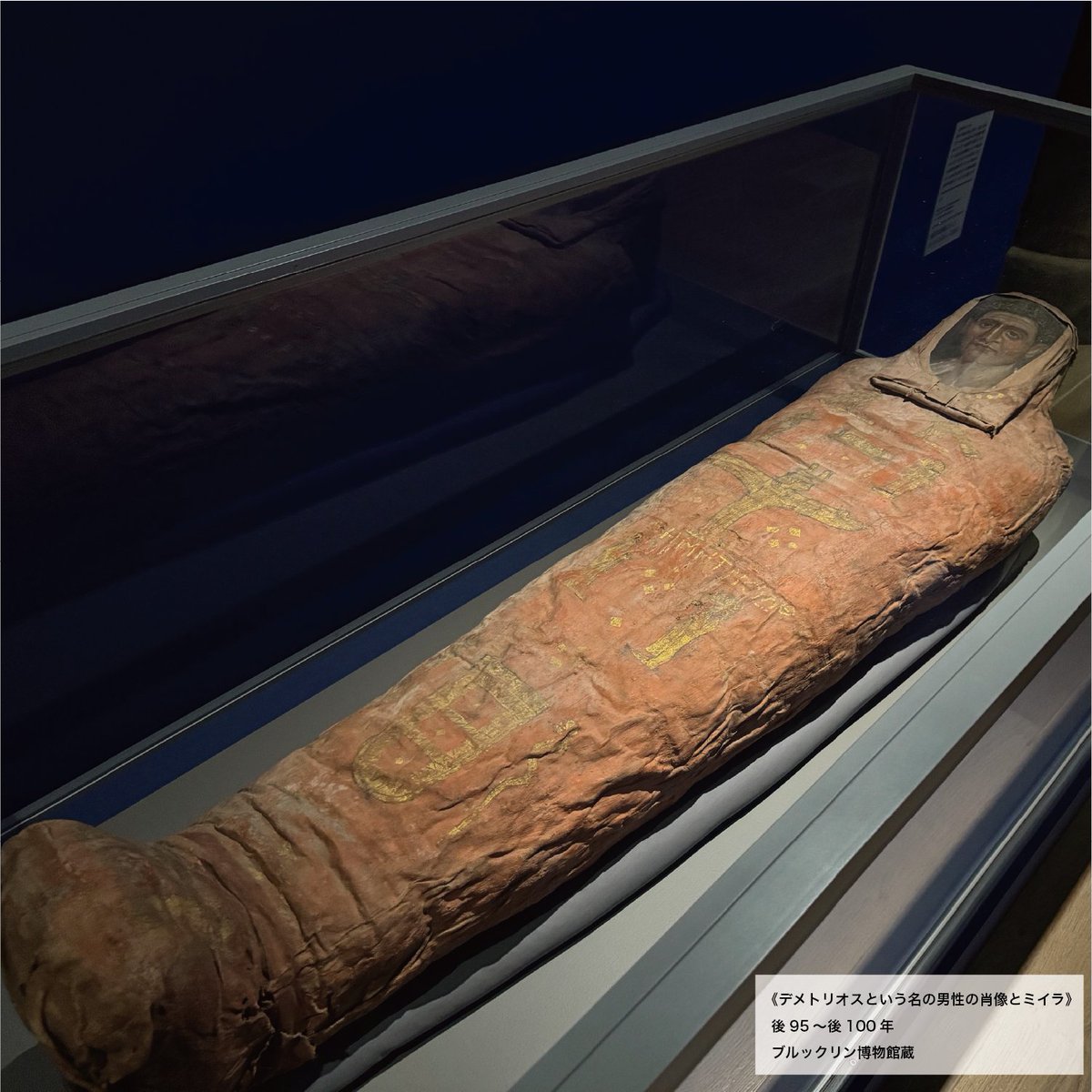 モノクロ ミイラ写真 GnbW3rIaIAArpCj.jpg?format=jpg