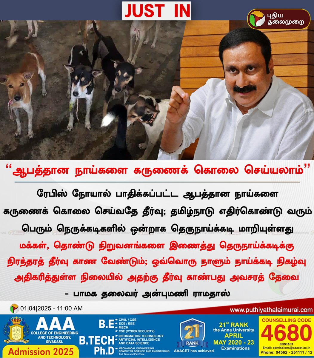 ஆபத்தான நாய்களை கருணைக் கொலை செய்யலாம் - அன்புமணி 

#AnbumaniRamadoss | #PMK | #StreetDogs