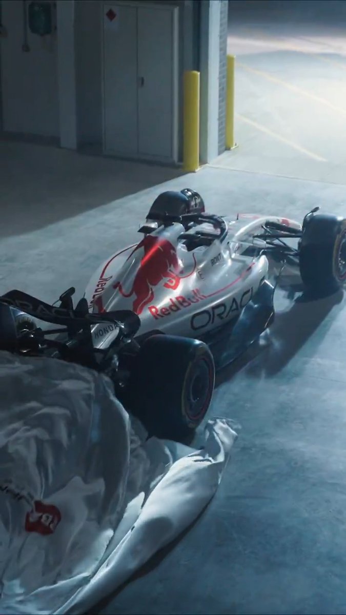 The White Bull is back 🤍