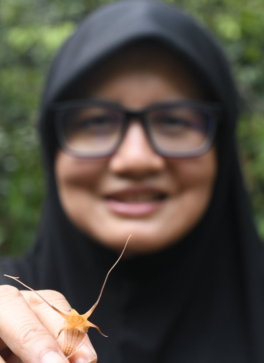 PhytoKeys's tweet photo. An incredible (but Critically Endangered) new Thismia species has been discovered in Peninsular Malaysia.

🔗 Learn about it on the @Pensoft blog: https://t.co/nMXIhvxQam https://t.co/YSvNfYn96o