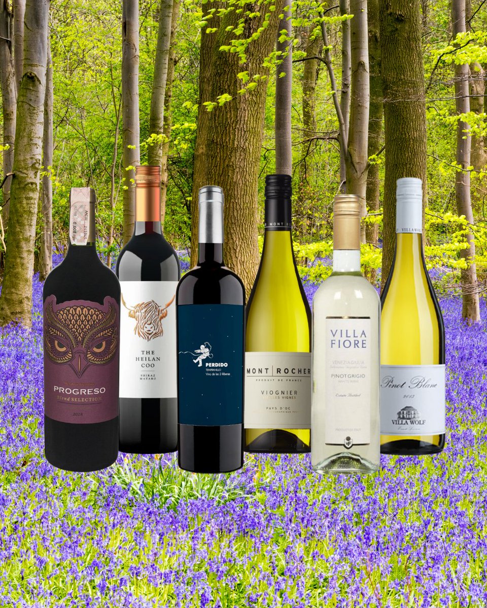 #Spring has sprung!
We've put together a new set of mixed cases for you to enjoy. Choose from a selection of Reds, Whites &amp; a case with a mixture of both.
All would normally be £77.70 BUT NOW for £69!
southdownscellars.co.uk/wines/case-dea… 
#wine #winecase #winebox #sussex #Hurst #Lindfield