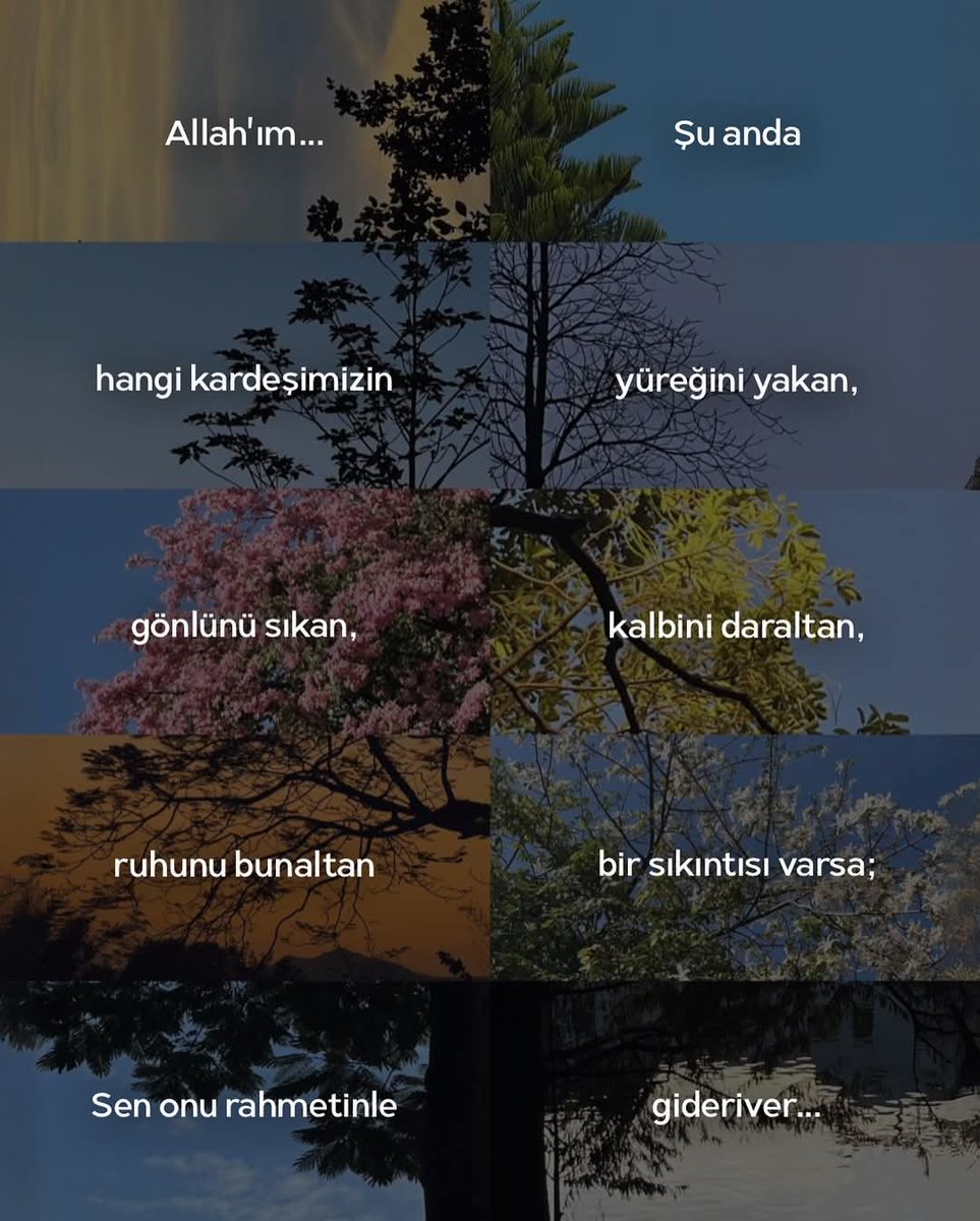 Allah'ım şu anda hangi kardeşimizin yüreğini yakan, gönlünü sıkan, kalbini daraltan, ruhunu bunaltan bir sıkıntısı varsa sen onu rahmetinle gider.
Eyüpspor Başakşehir Muse konseri lakers rockets cihan aydın ios 18.4 ahmet mehmetalioğlu 1 nisan