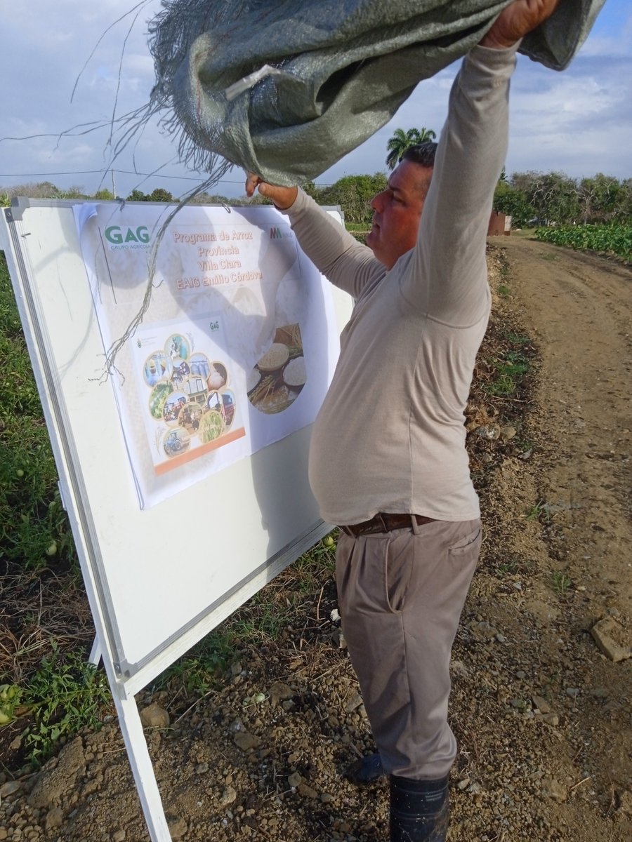 Alberto37126025's tweet photo. El campesino Oraldo Consuegra Jimènez, de la CCS Tato Madruga,utiliza la tracciòn animal y en la finca El Rayo, en 3,75 hectàreas,  tiene 9 cultivos, una experiencia del proyecto PROATC en este municipìo que puede multiplicarse en polos productivos.#juntosporvillaclara. https://t.co/kKiQ9Nz3z3
