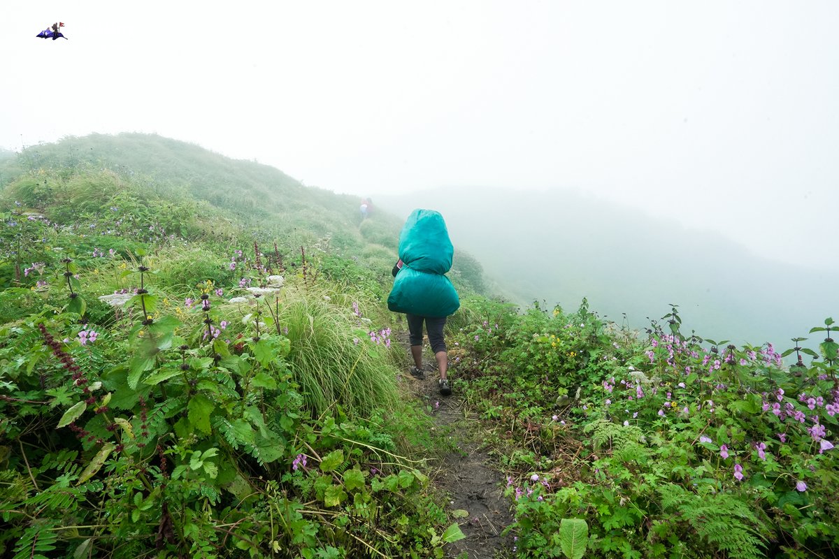 Excuse us, while we daydream of being back in Machhapuchhre Base Camp.
📸 : Umesh Sapkota

#travelNepal #ghumante
Video 👇:
youtube.com/watch?v=kglpu1…