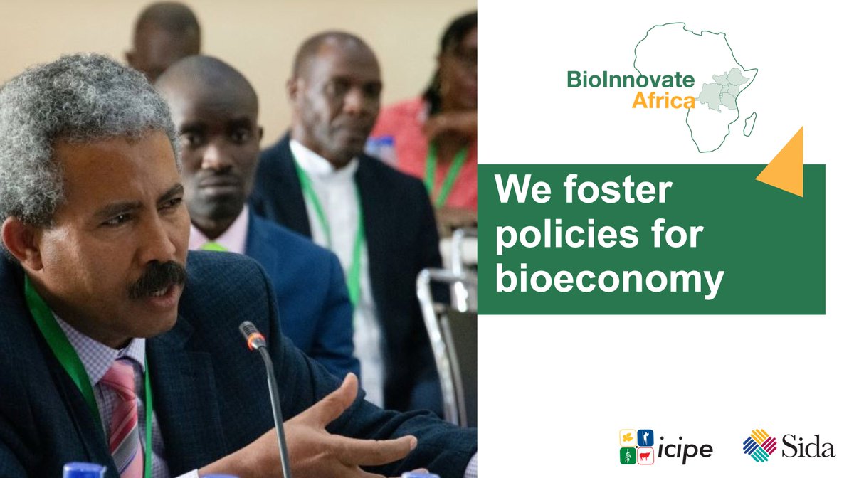 #GetToKnowBioInnovateAfrica: We engage with #policymakers to evaluate relevant #policy options to promote #bioeconomy development in eastern #Africa.
Our key resources:
📌 East African Regional Bioeconomy Strategy (2021/22 – 2031/32): easteco.org/wp-content/upl…
 📌 State of the