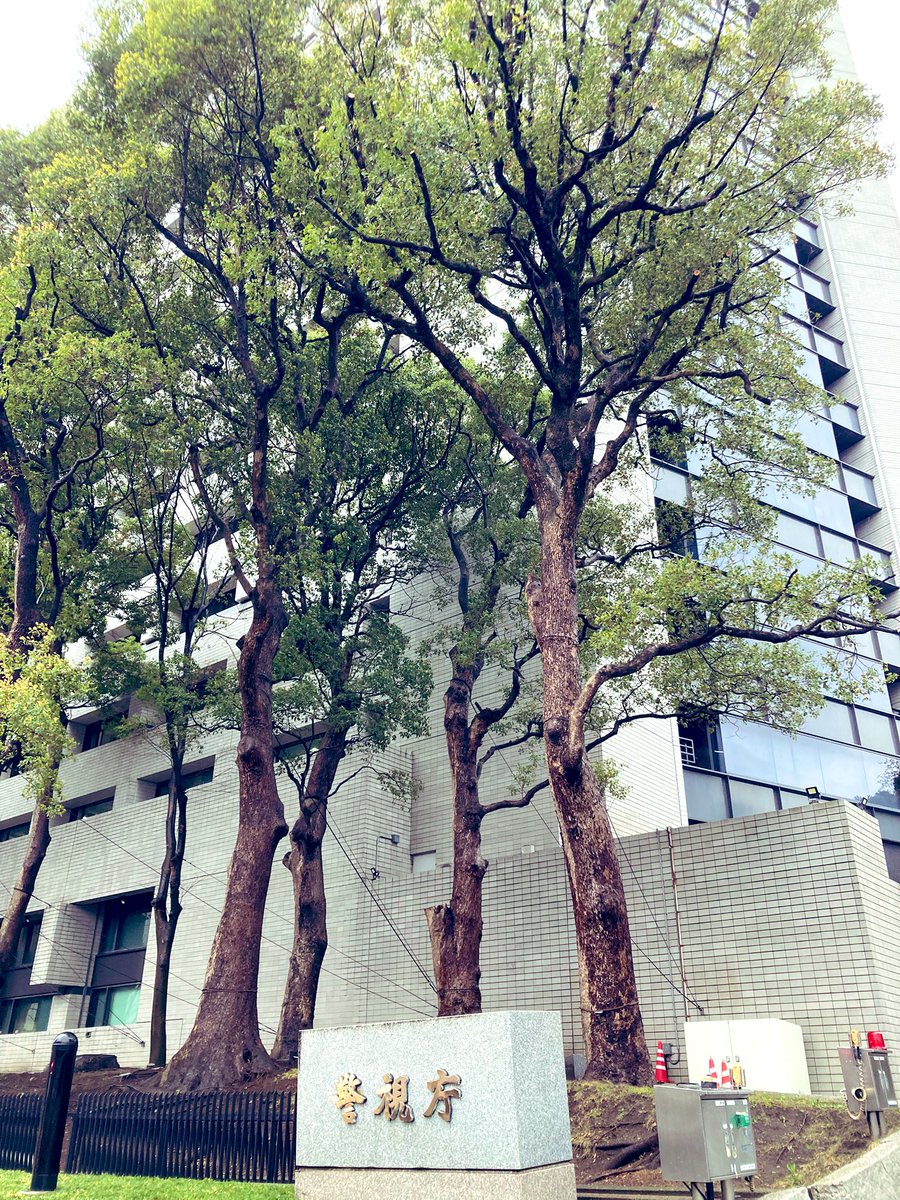 Baomo24's tweet photo. #桜のつく駅 シリーズ④🌸
警視庁があります👮🚨
お土産は売っていません🫡
これで終わりです🔚🌸 https://t.co/h2fhxY3gyZ