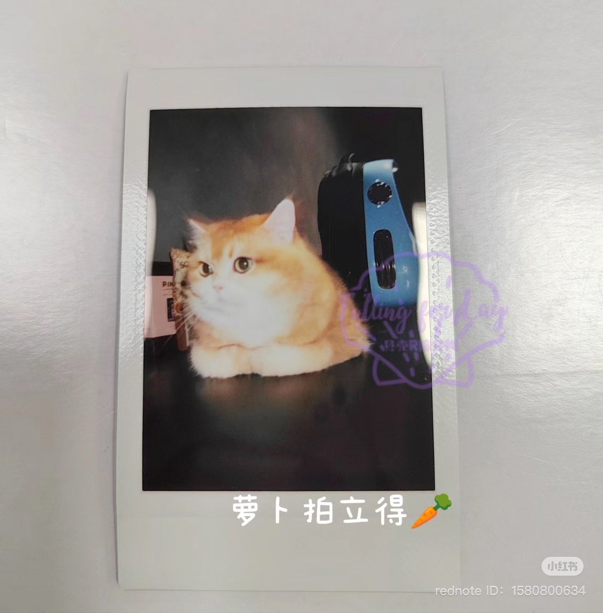 veryredcats's tweet photo. A few other winners shared their Luobo Polaroids! 

Cr. logo

#LAY #LayZhang @layzhang https://t.co/5UEZVXkTO0