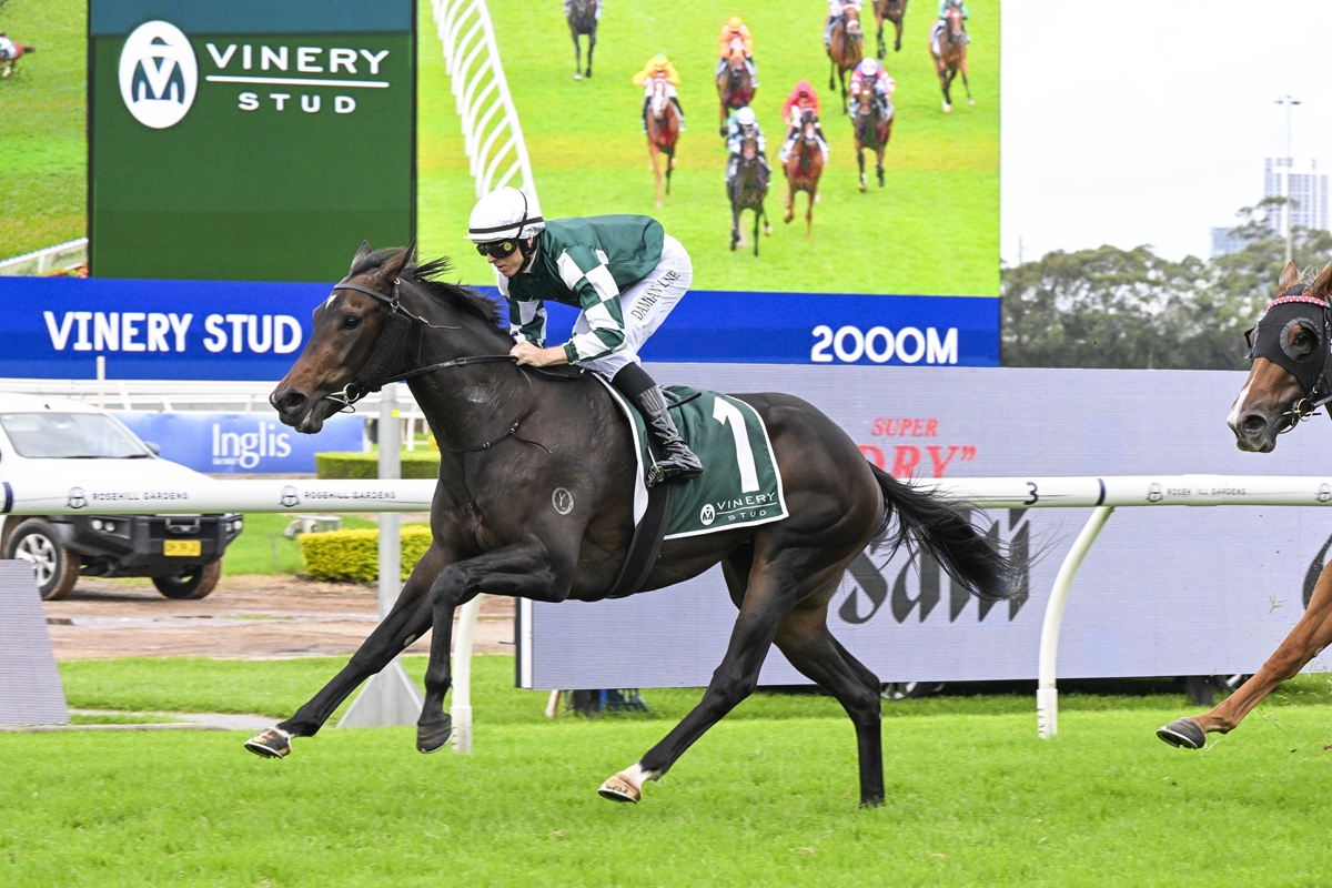 Smart filly Treasurethe Moment made it 7 wins in-a-row when winning the Group 1 <a href="/VineryStud/">Vinery</a> Stakes at Rosehill Gardens. 
 
 📷BradleyPhotos