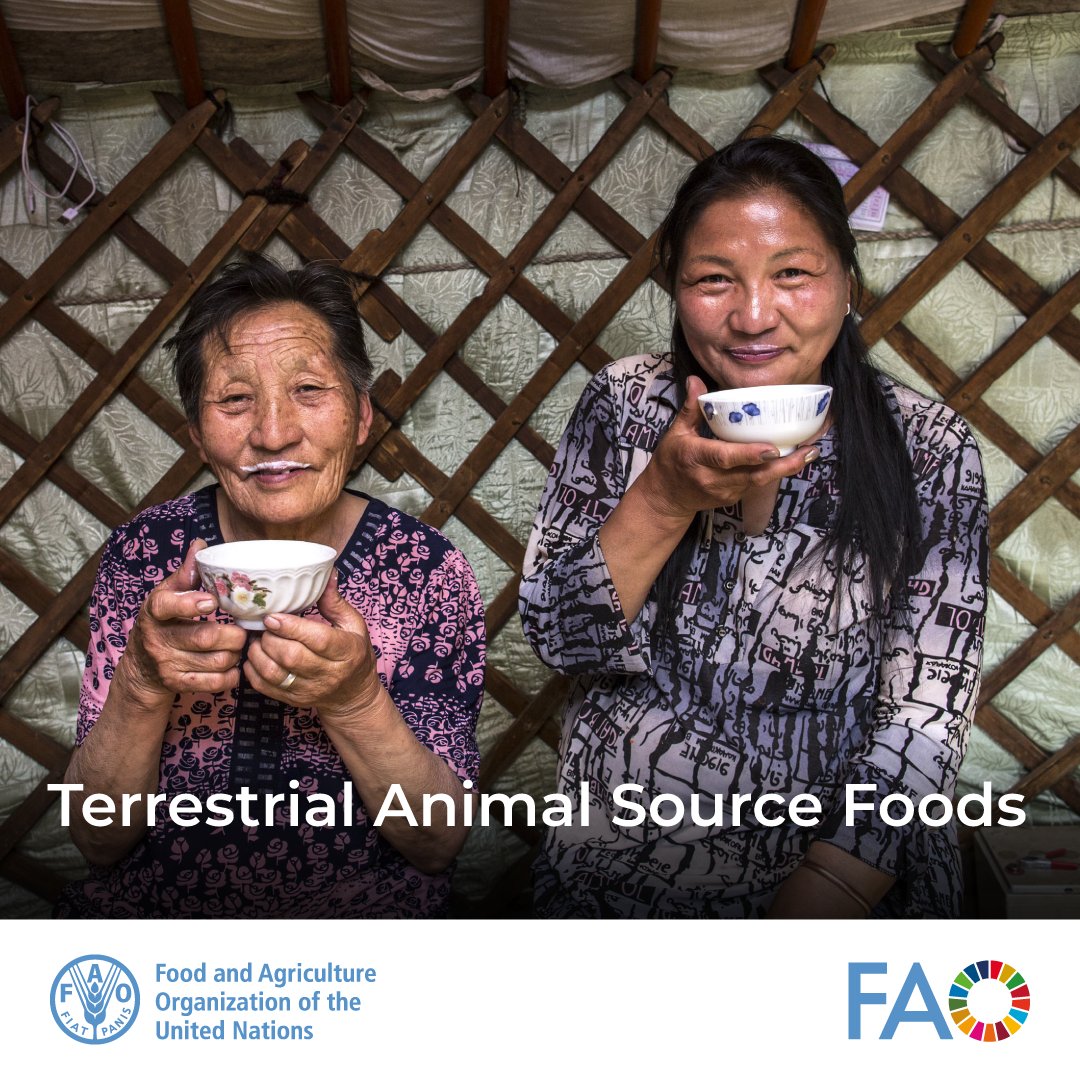 📢 New review shows terrestrial animal source foods like milk, eggs, &amp; meat are vital for nutrition!

From supporting childhood growth to enhancing muscle health in older adults, they play a key role in health across life stages.

Learn more 👉 bit.ly/3DEpkZm