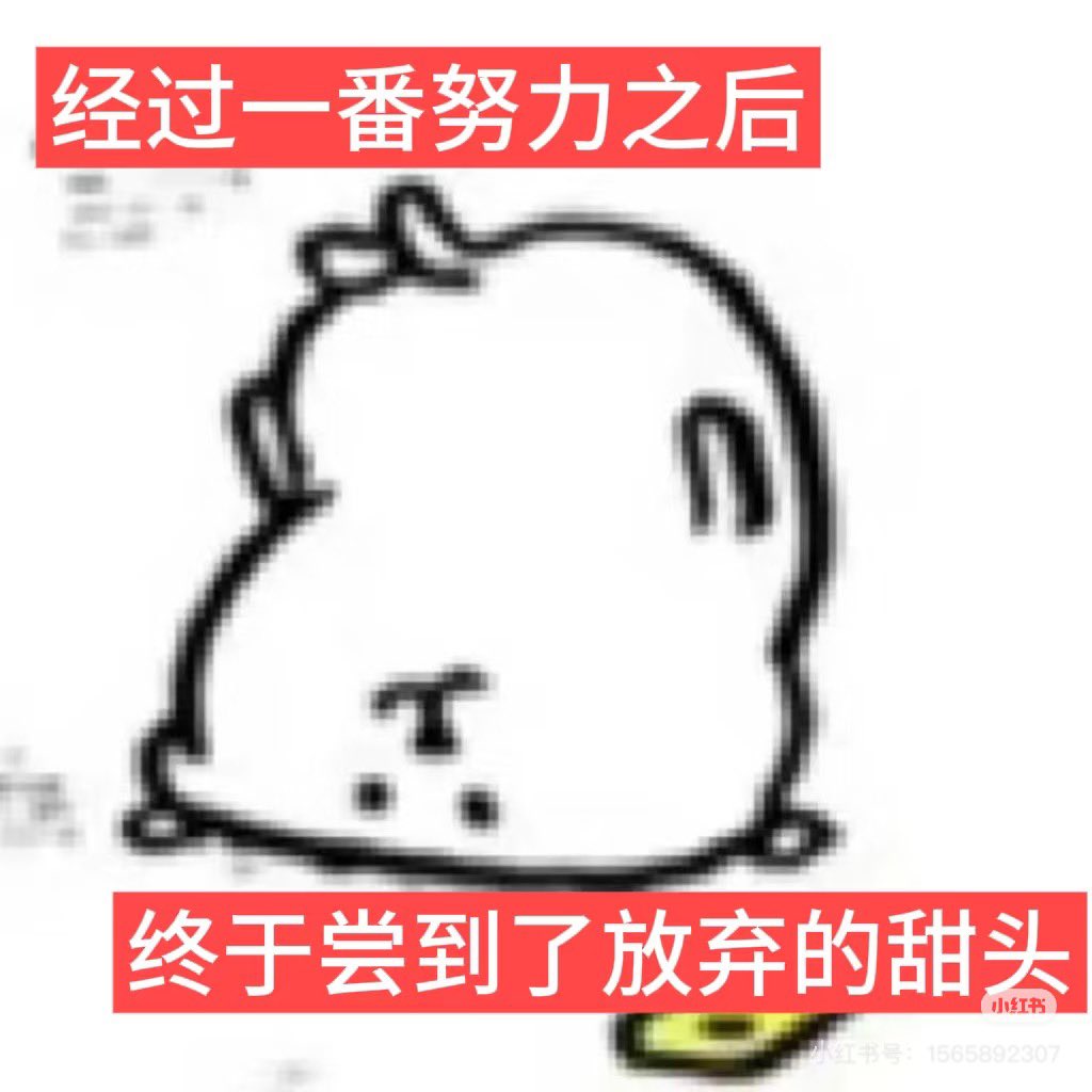 媒体预览