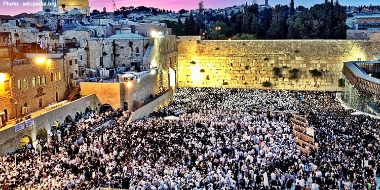 ikingape's tweet photo. Antisemitism is never accepted 

תישאר חזק https://t.co/ntlf7RM6Dy