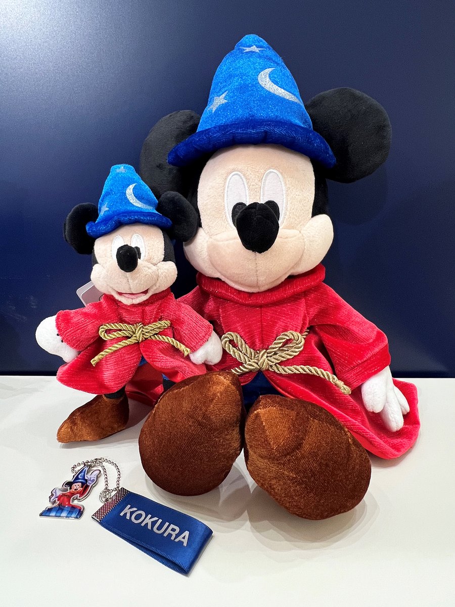 本日より5都市目スタート📢 #ディズニーフラッグシップ東京ジャパン