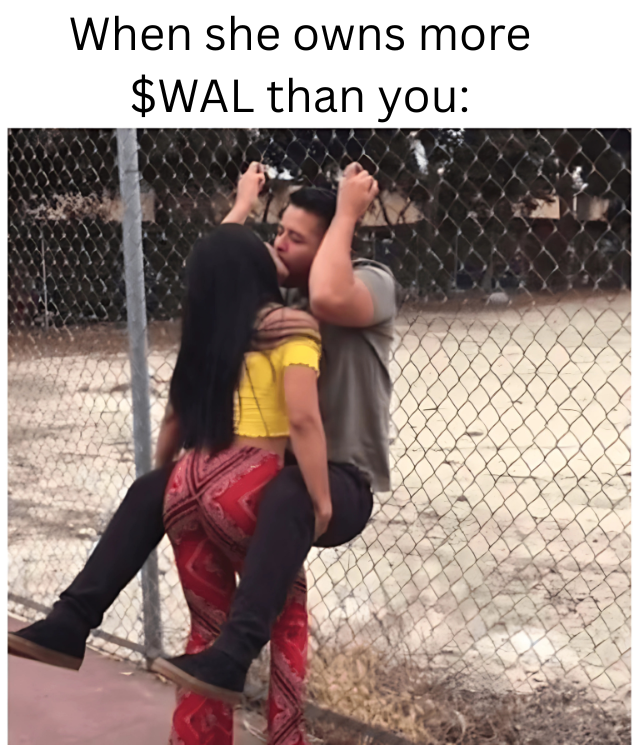 Maitreyn tweet media