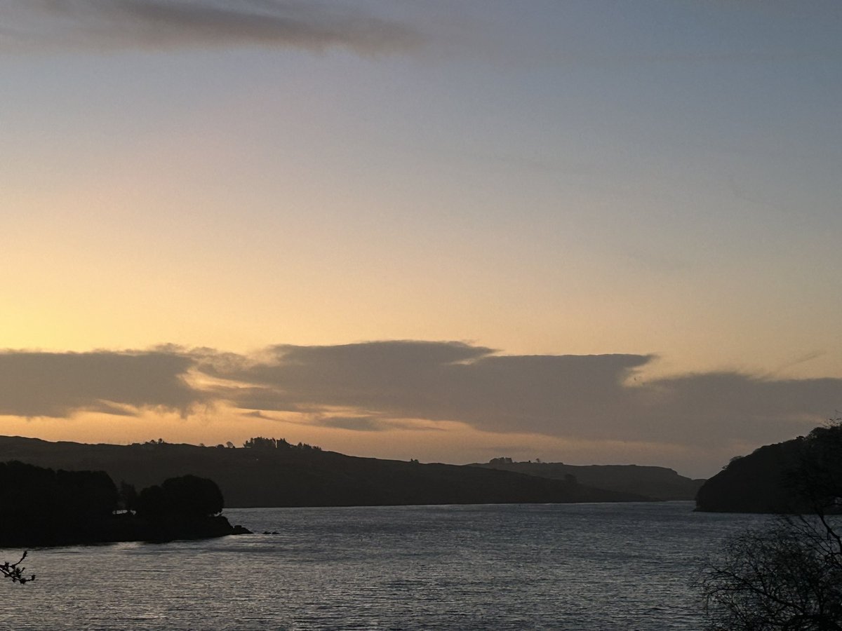 DeasyPamela's tweet image. day91 of #100daysofwalking 

#Tuesday 1st April and I’m back to College today 🤞🏻 hopefully I will last the day, an early stroll before I left earlier.

#SpringinIreland #April #BowelCancerAwarenessMonth 💙