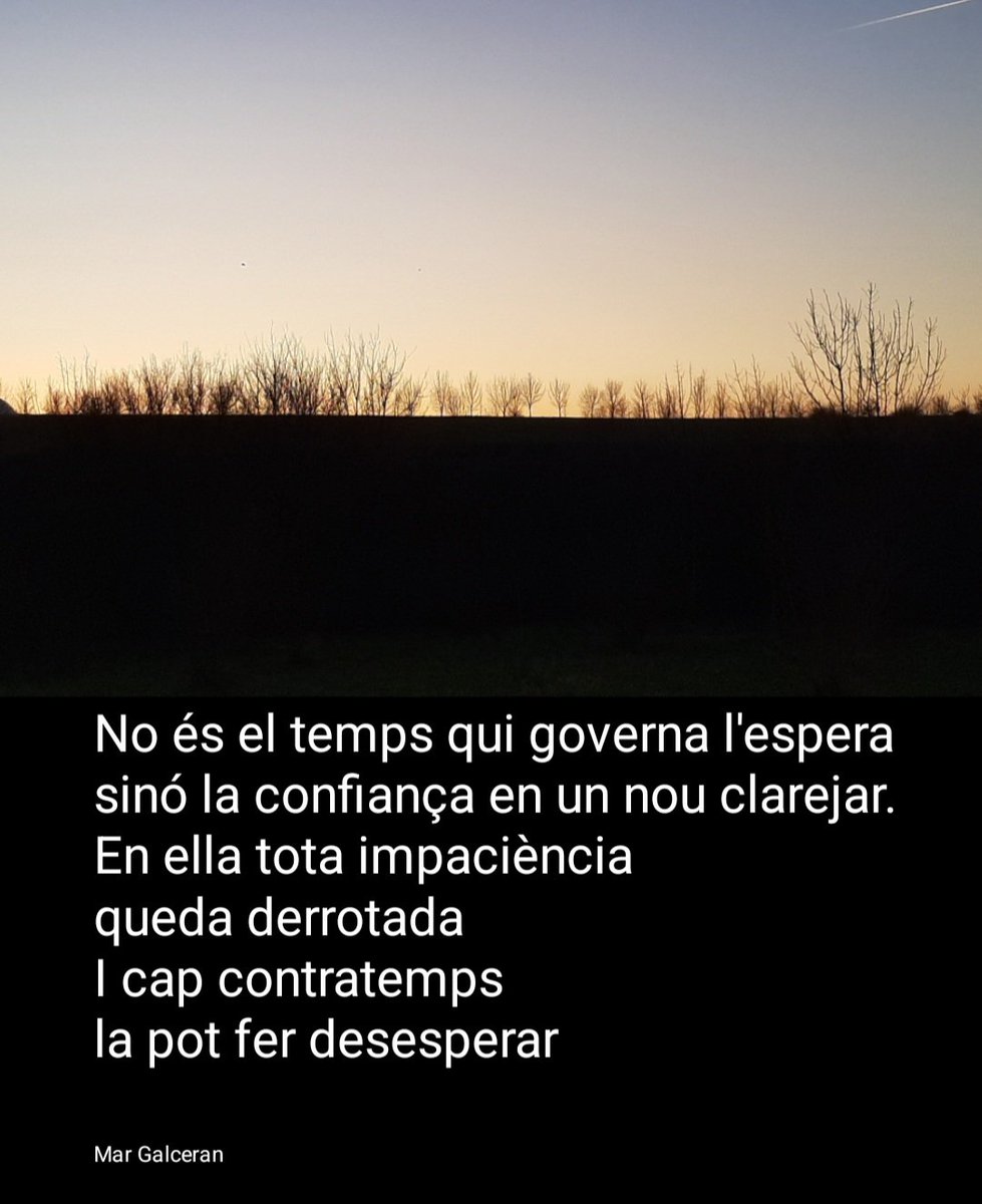 Mar Galceran (@margalceran1) on Twitter photo 