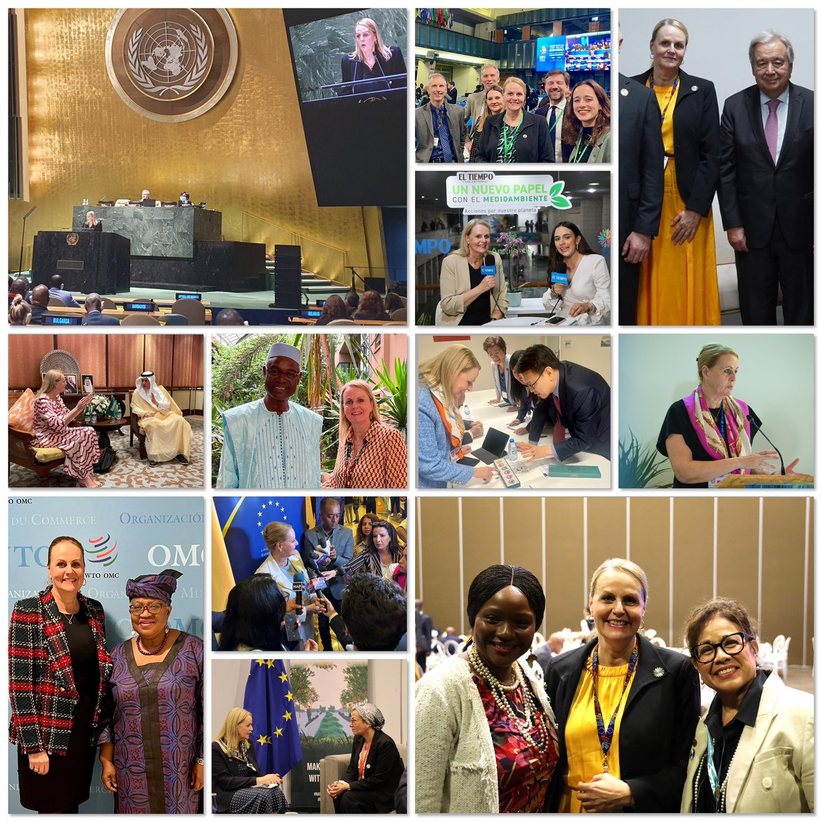 Florika Fink-Hooijer🇪🇺 tweet media