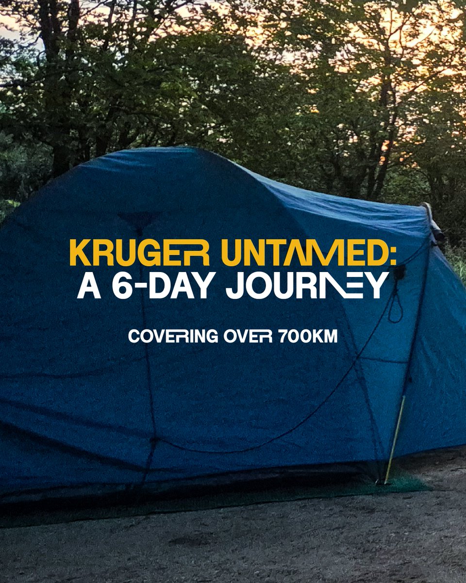 LabExpedition's tweet photo. Adventure knows no limits with Kruger Untamed. 🌍 In just 6 days, travel over 700km across Southern Africa's most incredible landscapes.

Perfect for those who crave adventure but are short on time.

View the full itinerary on our website: https://t.co/WpyF44uzHC. https://t.co/8OPIbHK2ld