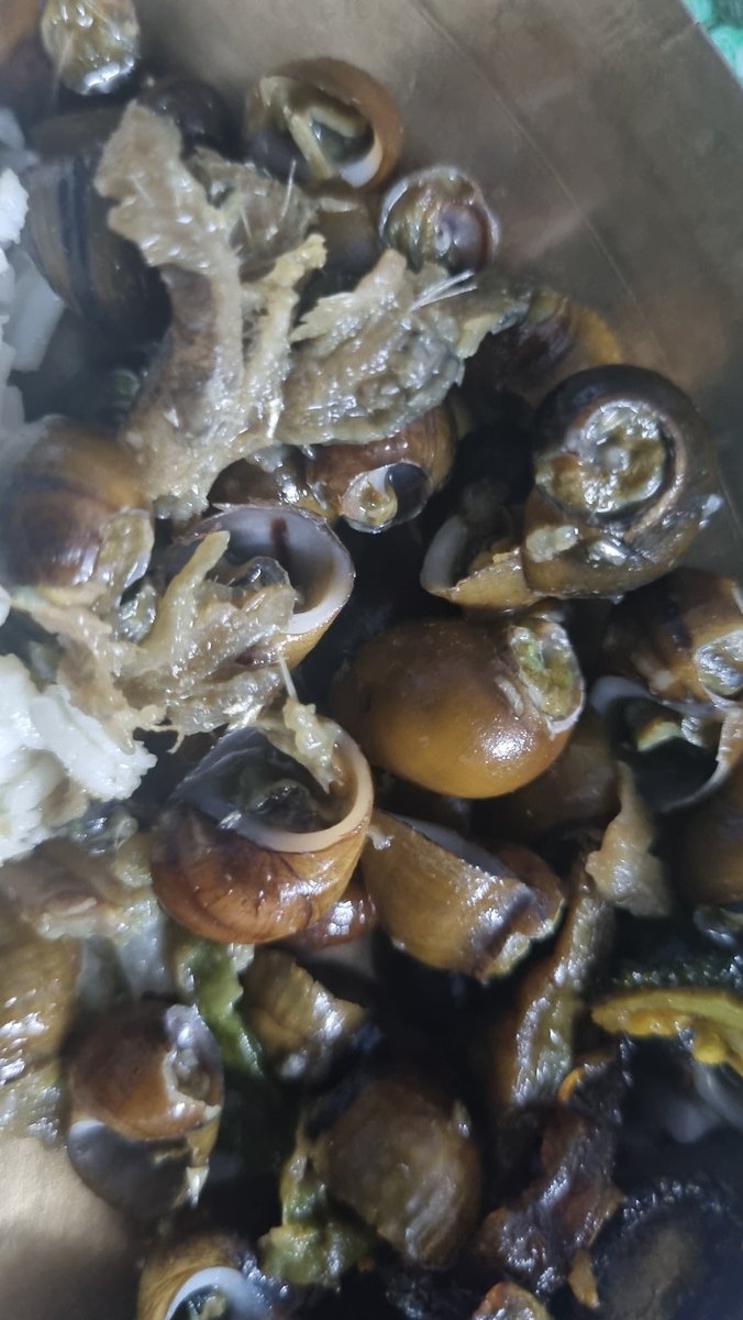 robinbetor's tweet photo. Kiss it away... 🐌
#tribal #tribalfood #Meghalaya #meghalayatourism #achik #garomeghalaya #garobijak https://t.co/Dpc2uxLTcj