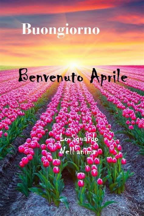 RITABIANCHi56 tweet media