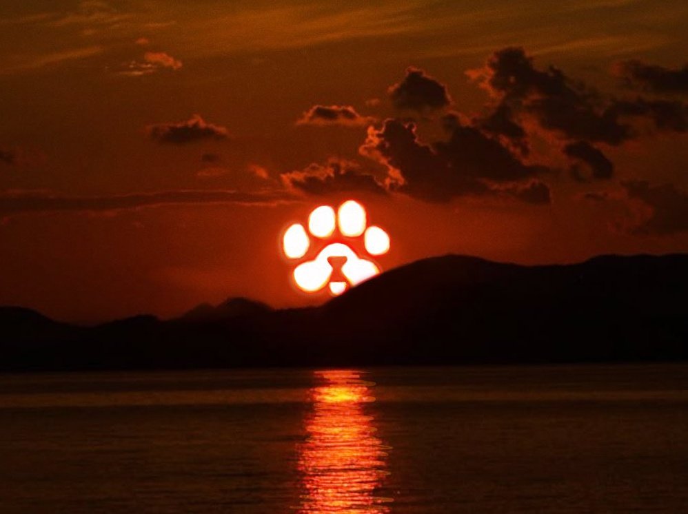 steveosamm's tweet image. “BIG NEWS”

The moment you've all been waiting for is finally here!

We're thrilled to announce that #PAWS🐾 Token will be listing on April 8th, 2025, 11:AM UTC.

Don't miss out on this purr-fect opportunity!

#PAWSToken #CEX #Listing

APRIL FOOL 🤪🤪🤪

Happy New Month Famz.