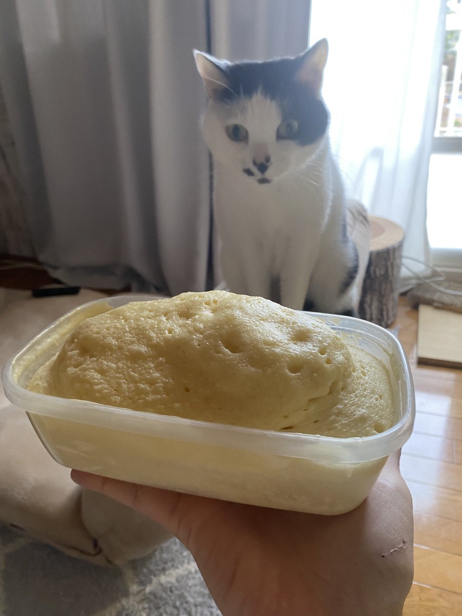 umedesukedomo's tweet image. むしぱん作って見せたらびっくりしてた